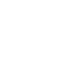 SVD Group